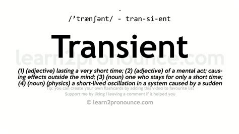 transient traduction|what is a transient term.